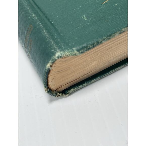 Youthful Witnesses 1921 W A Spicer / Illustrated Christian Missionary Stories - Picture 10 of 16